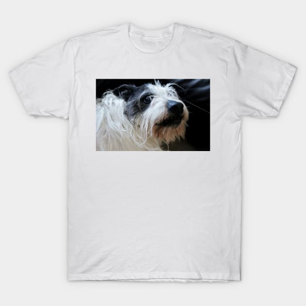 Jessie`s Smile T-Shirt by Ladymoose